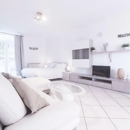 Cozy 소렌토